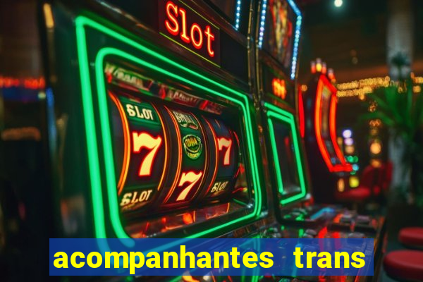 acompanhantes trans baixada fluminense